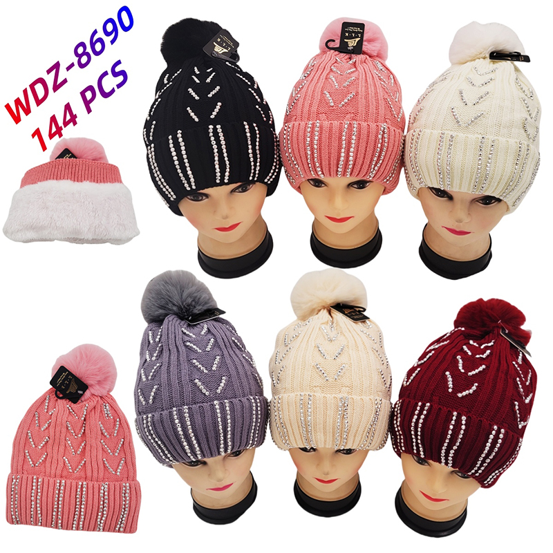 WDZ-8690 CS144
